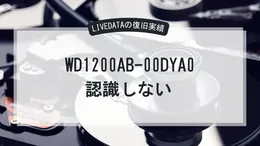 HDD WD1200AB-00DYA0 正常に回転してるのに認識しない。